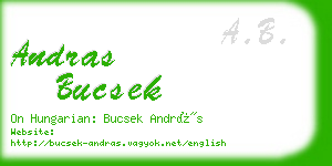 andras bucsek business card